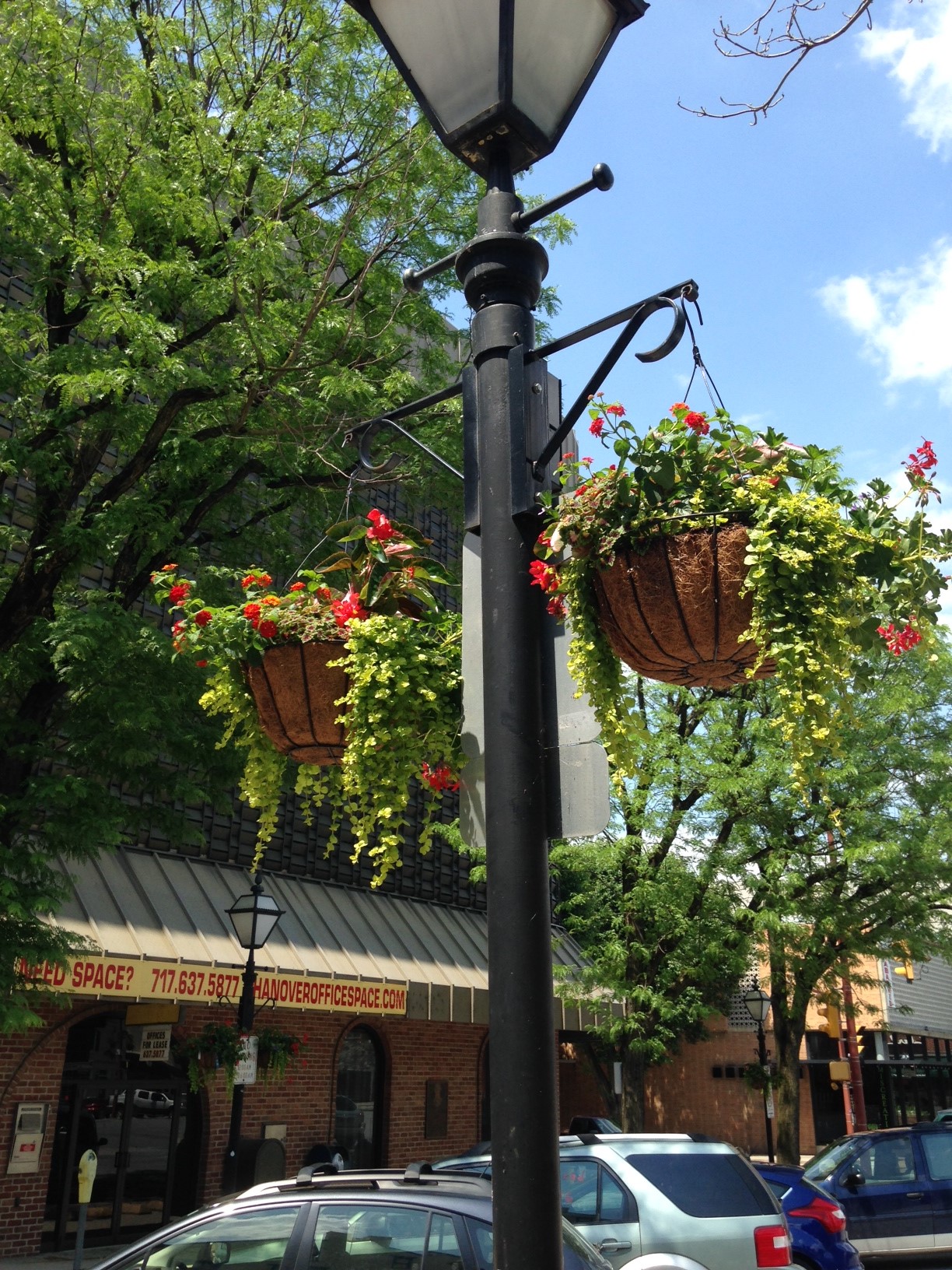 Flower Baskets